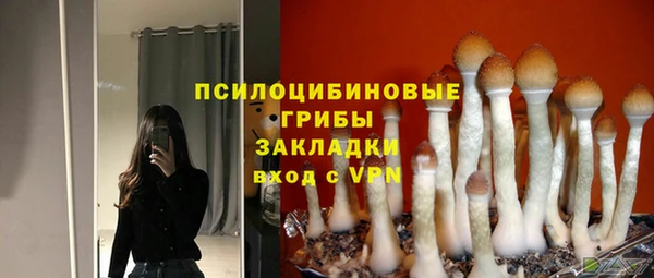 spice Михайловск