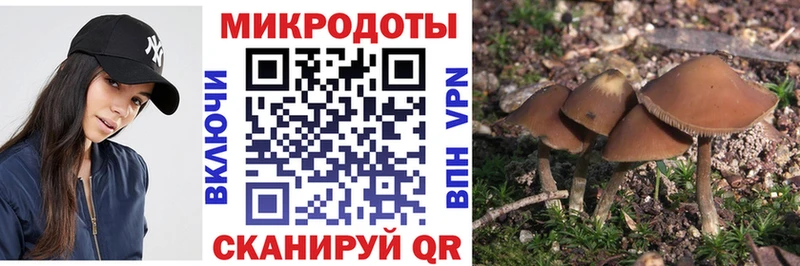 МЕГА ONION  Палласовка  Галлюциногенные грибы MAGIC MUSHROOMS 